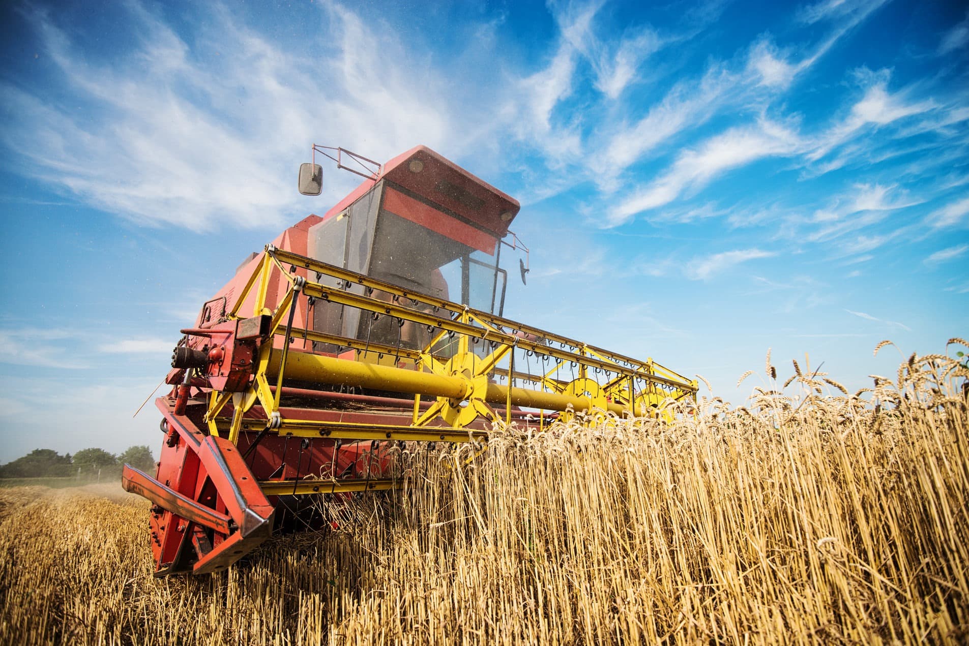 Agriculture